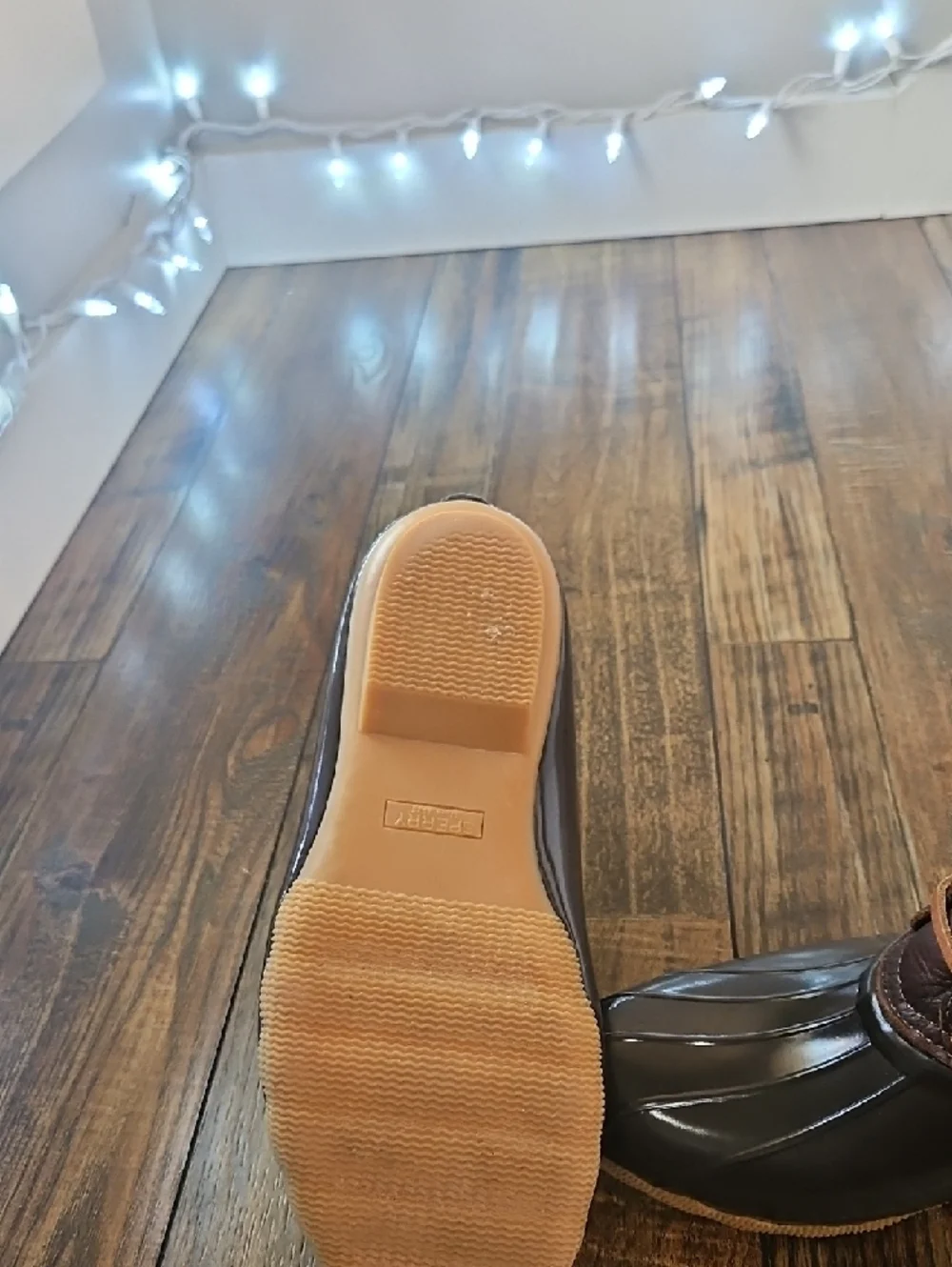 Sperry waterproof duck